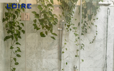 The characteristics and advantages of a shower room