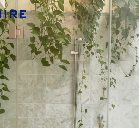 The characteristics and advantages of a shower room