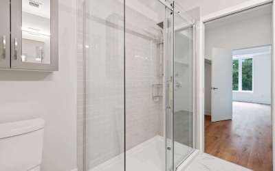 Why Choose Frameless Shower Doors?