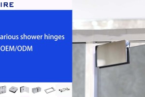 Various shower hinges
