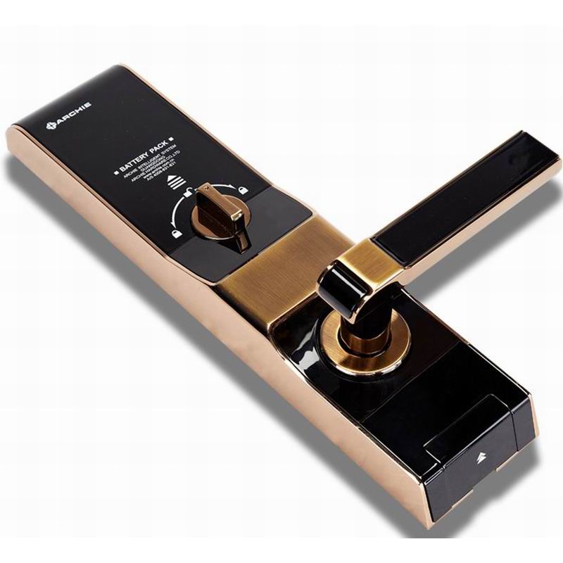 Entry Door Handles and Locks Fingerprint Unlock | J2021-02