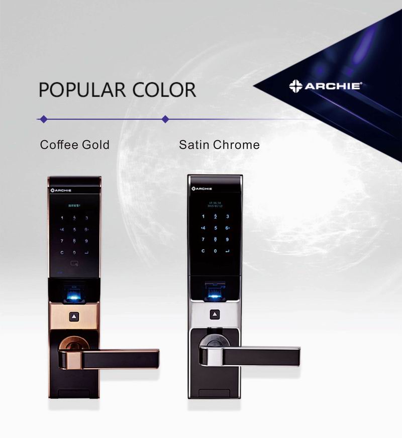 Entry Door Handles and Locks Fingerprint Unlock | J2021-02