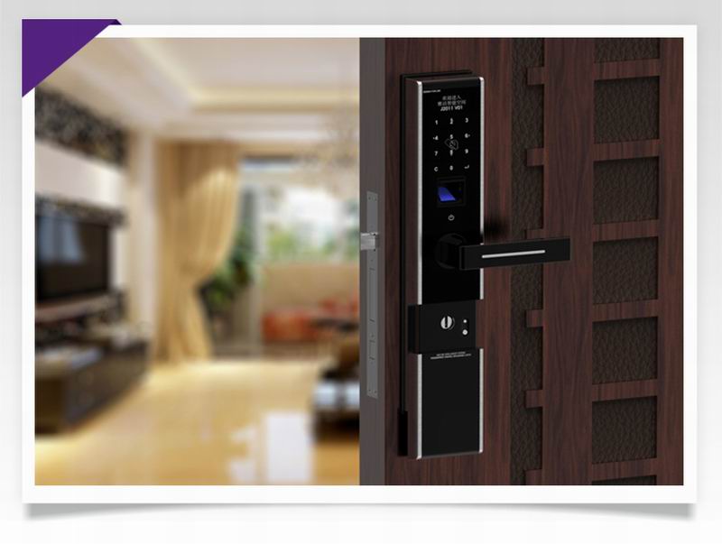 Smart Fingerprint Antique Door Lock Manufacturer