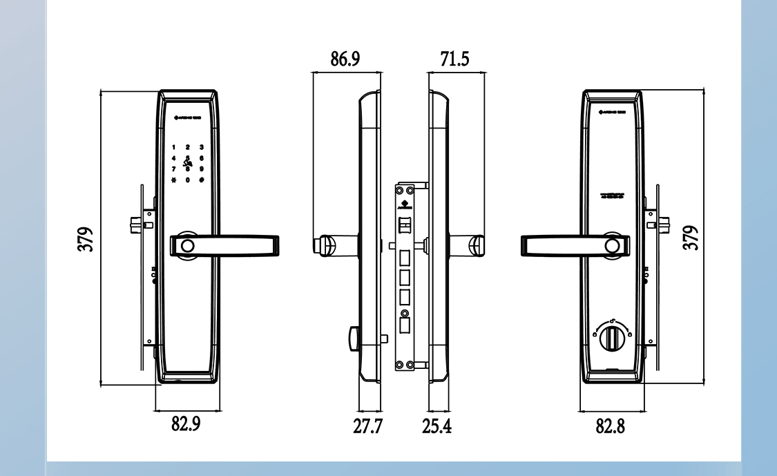 entrance door locks