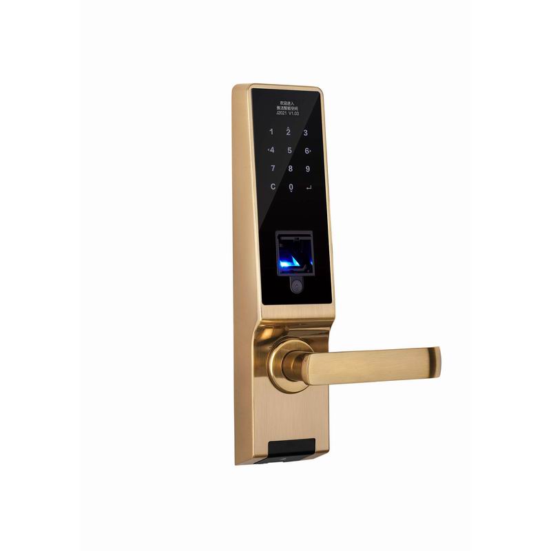 Умные замки для жилых дверей с отпечатками пальцев | J2021-03
