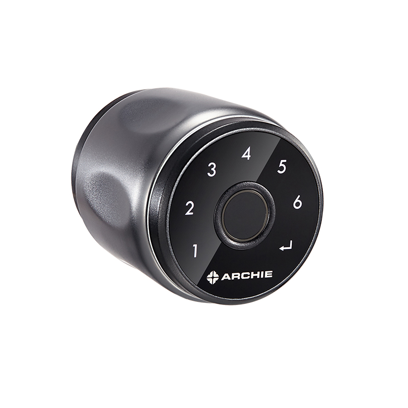 Fingerprint Door Lock Black Door Knobs | J4011-H10