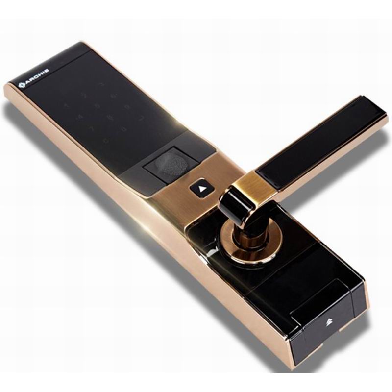 Entry Door Handles and Locks Fingerprint Unlock | J2021-02