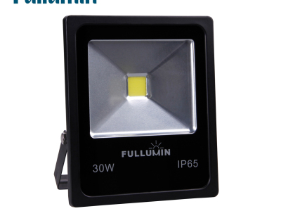 LED Floodlight