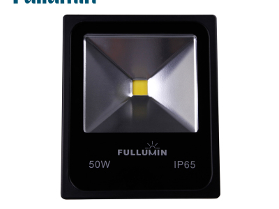 LED Floodlight