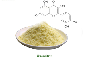 Quercitrin 