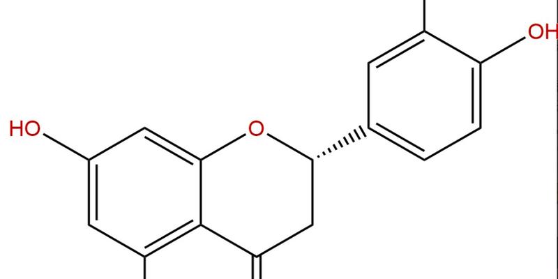 同型圣草酚