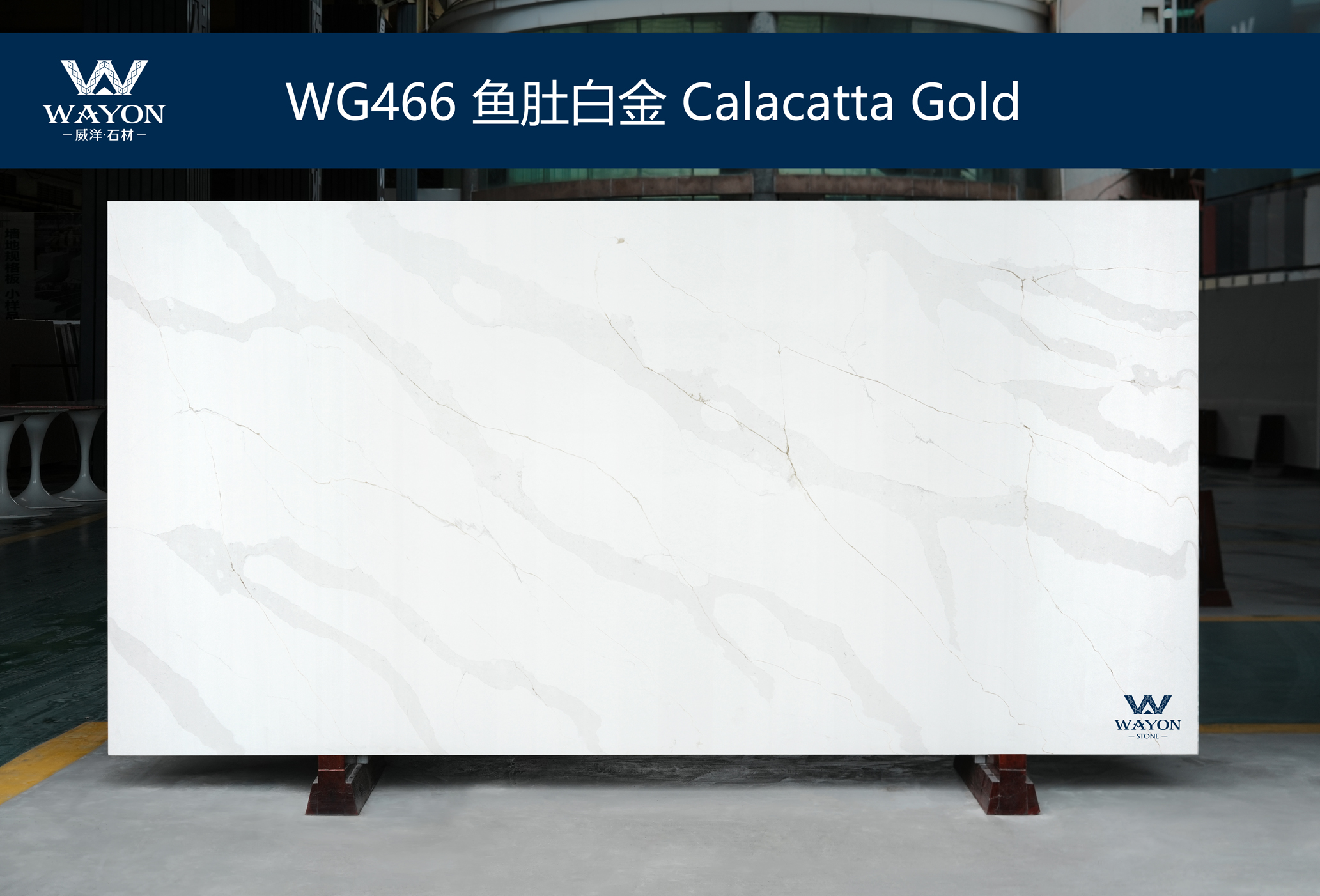 WG466 Calacatta Gold