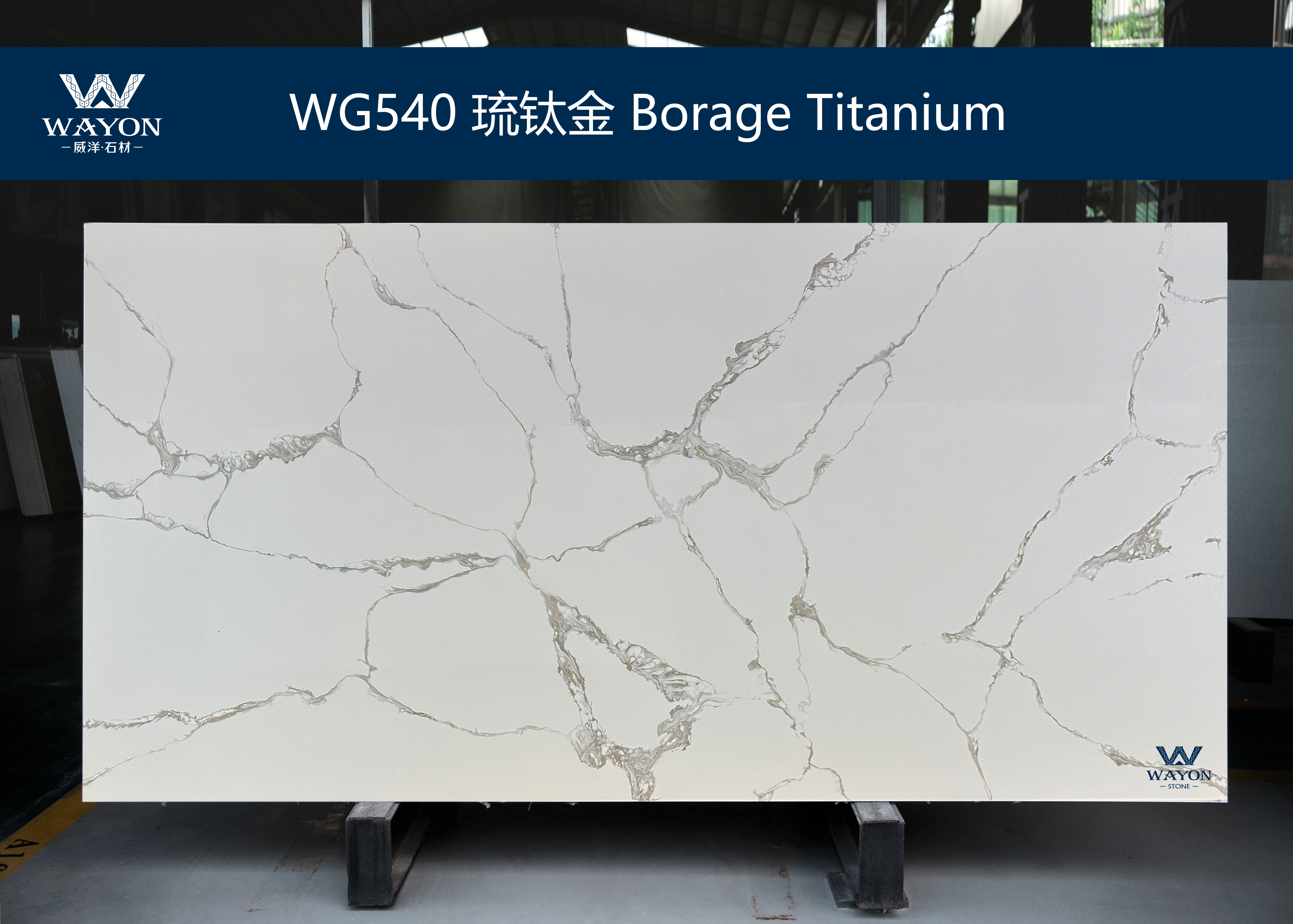 WG540  Borage Titanium 