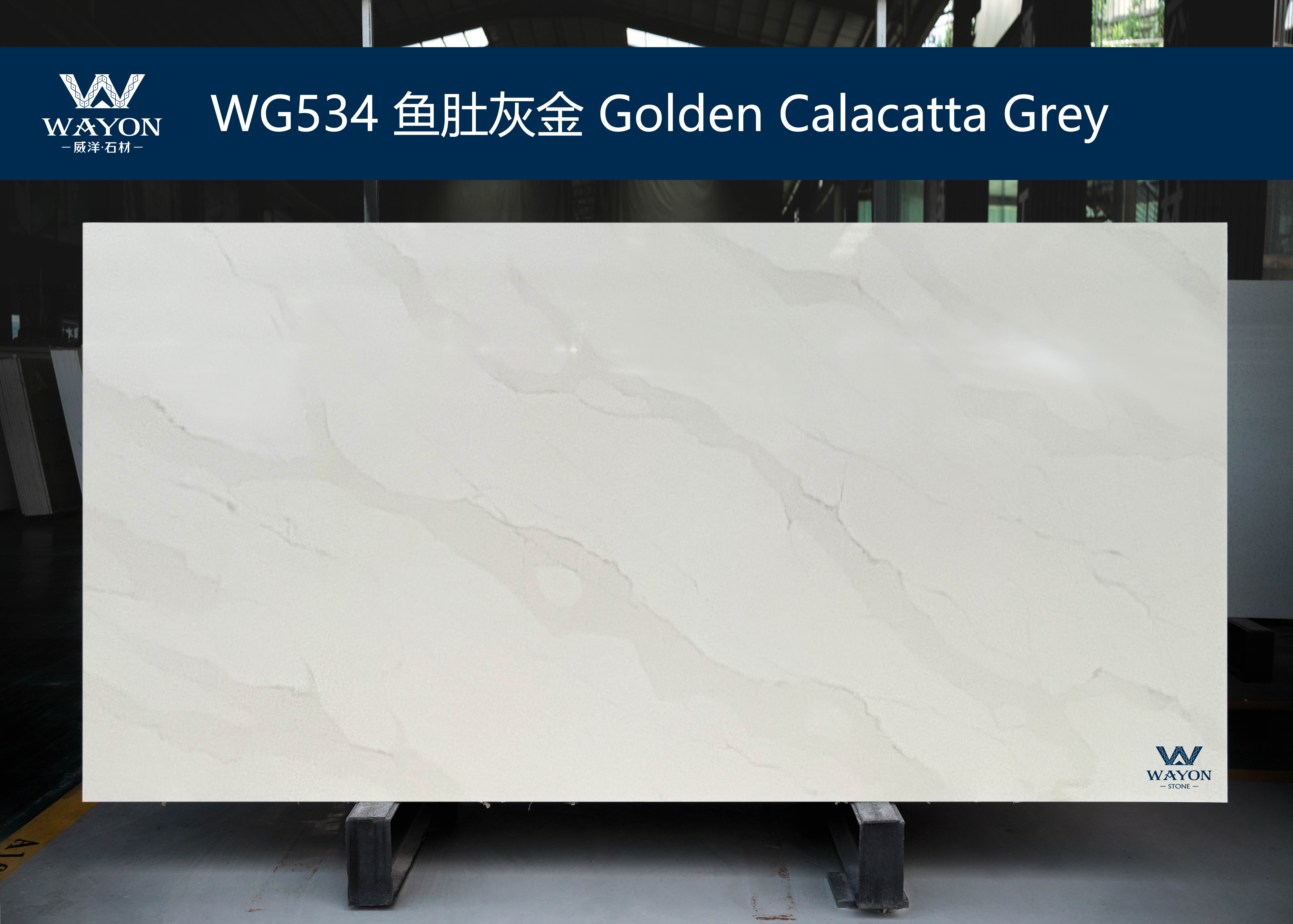 WG534  Golden Calacatta Grey 