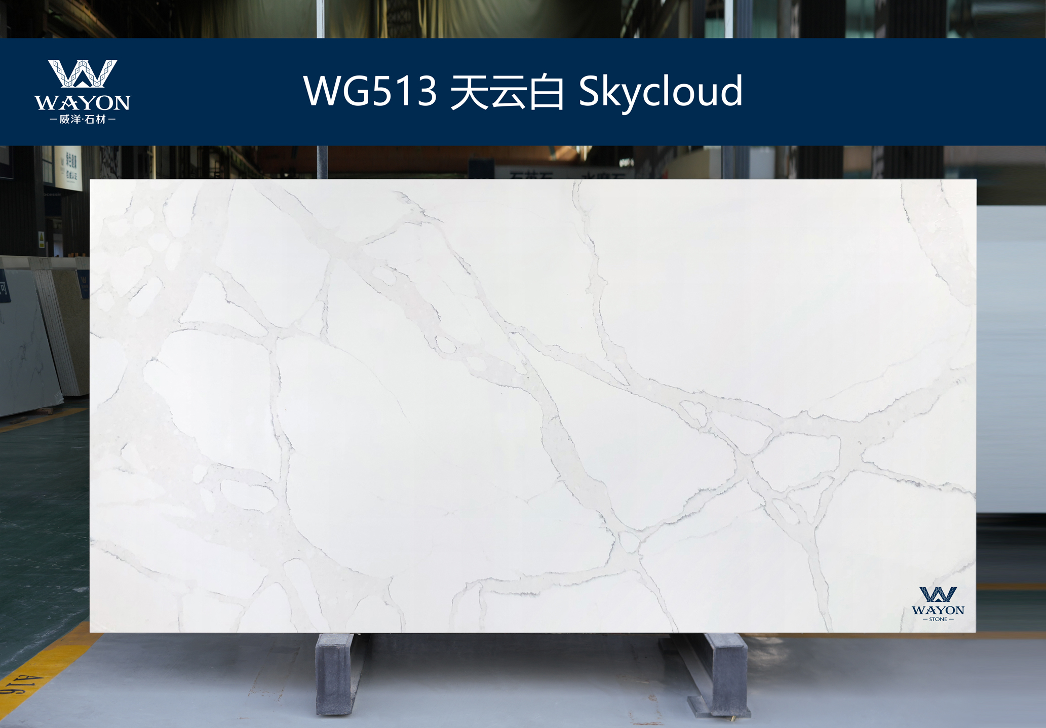 WG513  Skycloud