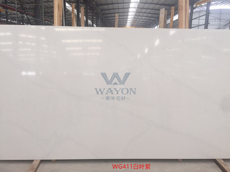 WG411 Venation