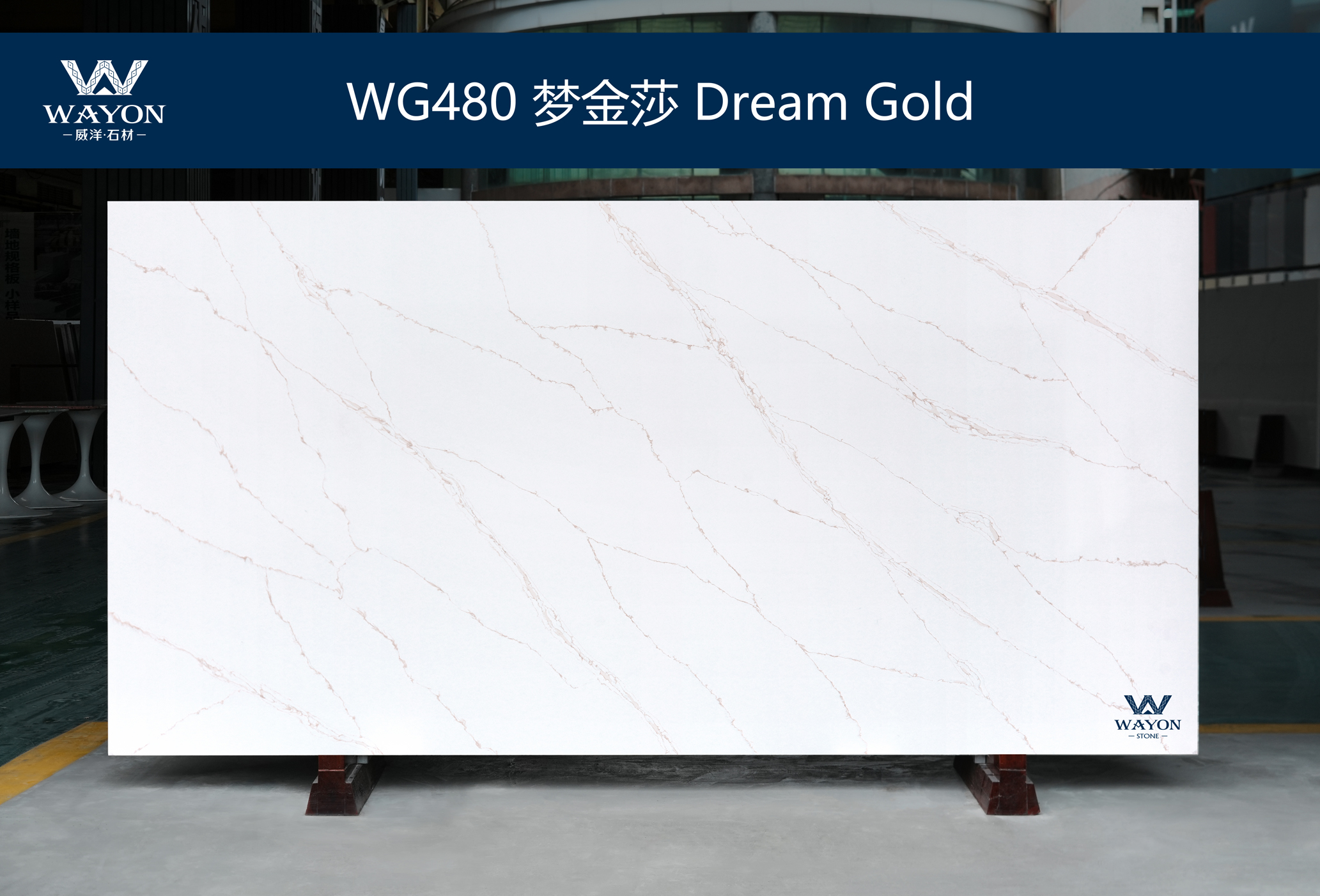 WG480 Dream Gold