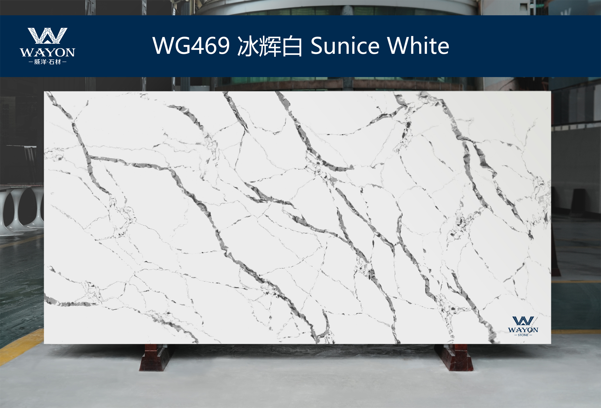 WG469 Sunice White 