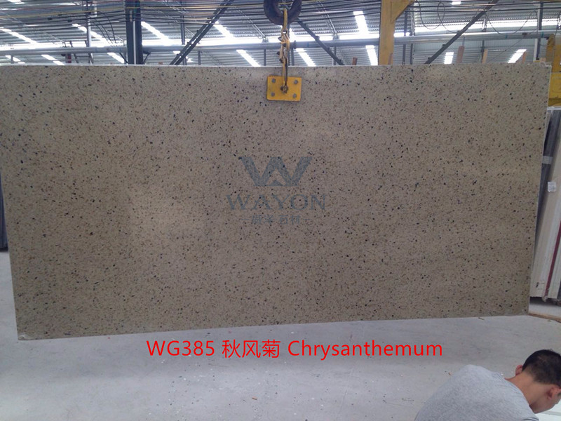 WG385 Chrysanthemum