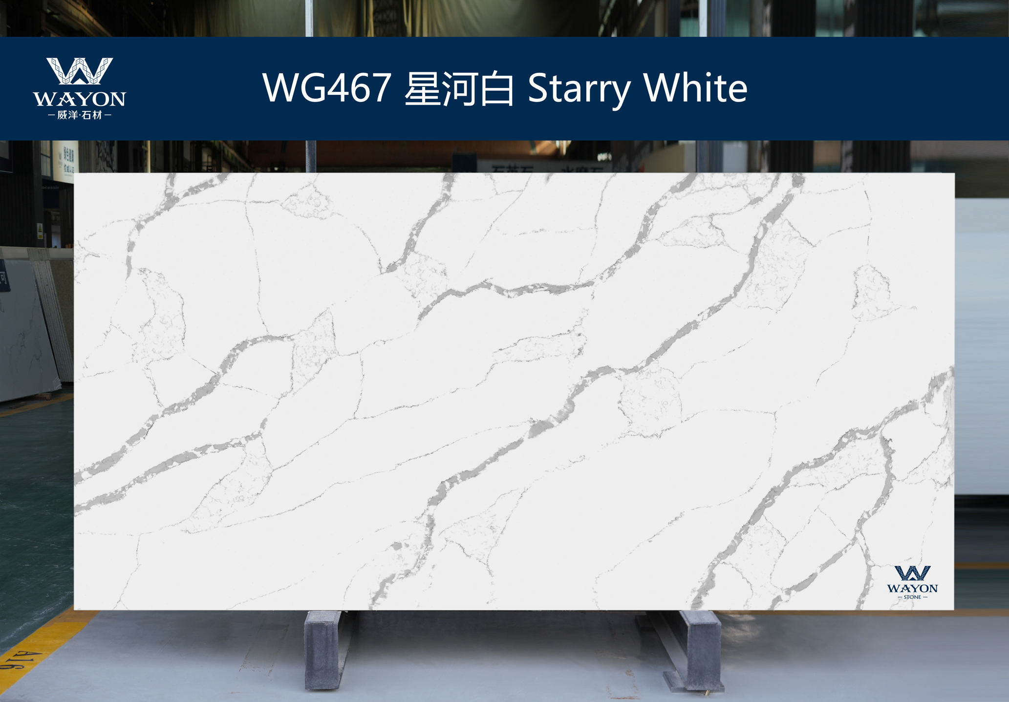 WG467 Blanco estrellado