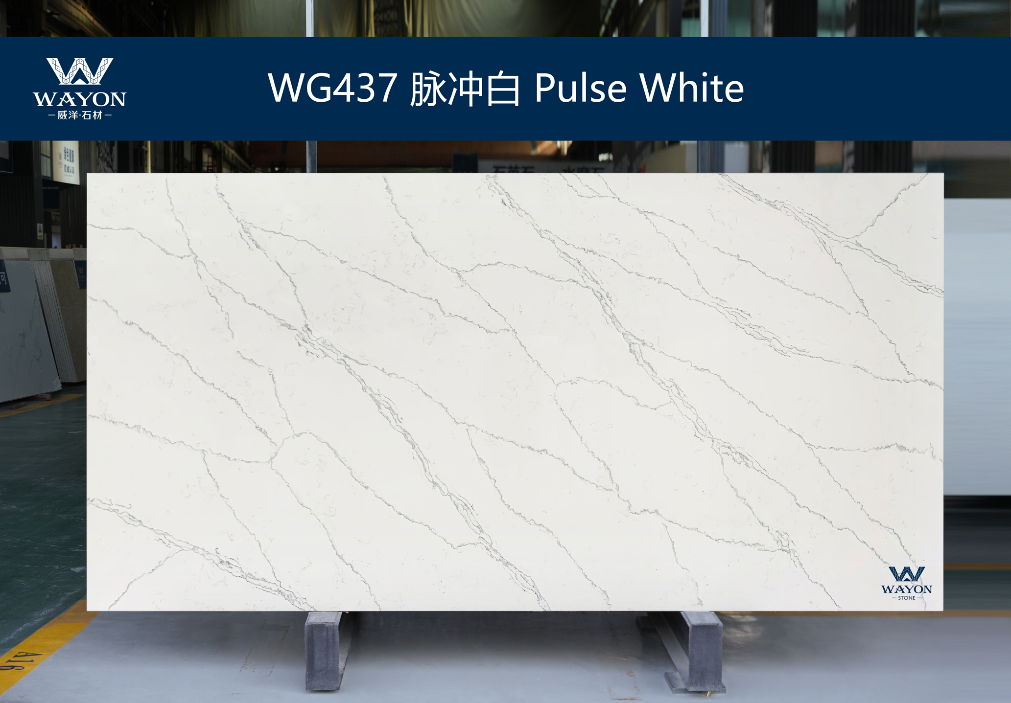 WG437 Pulso Blanco