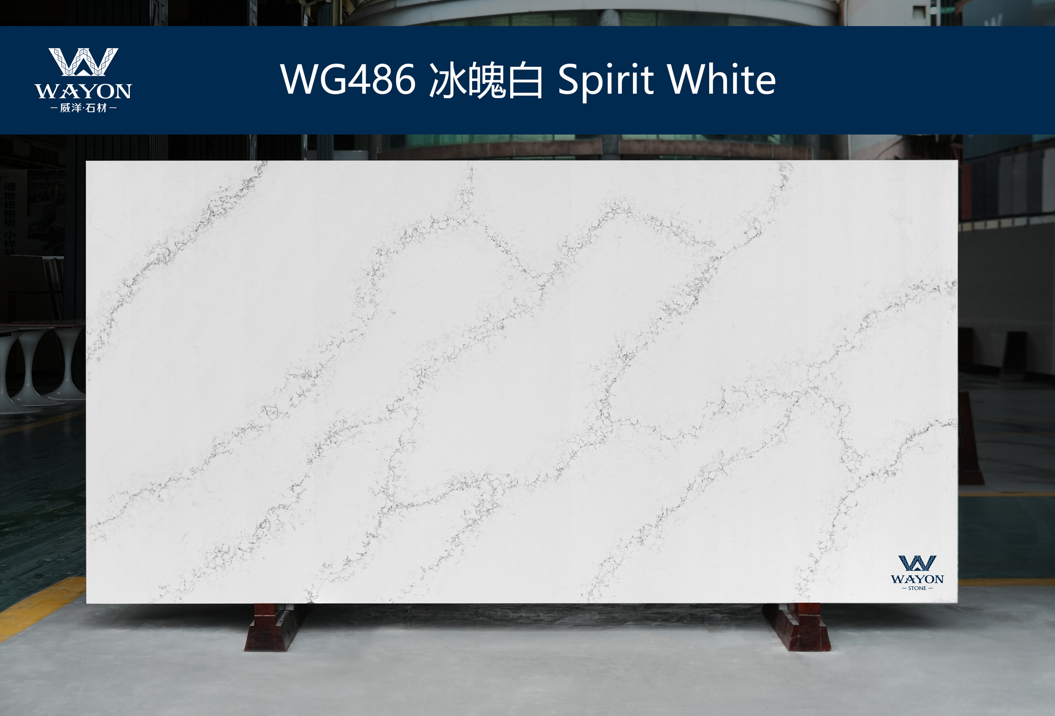 WG486 Blanco espíritu