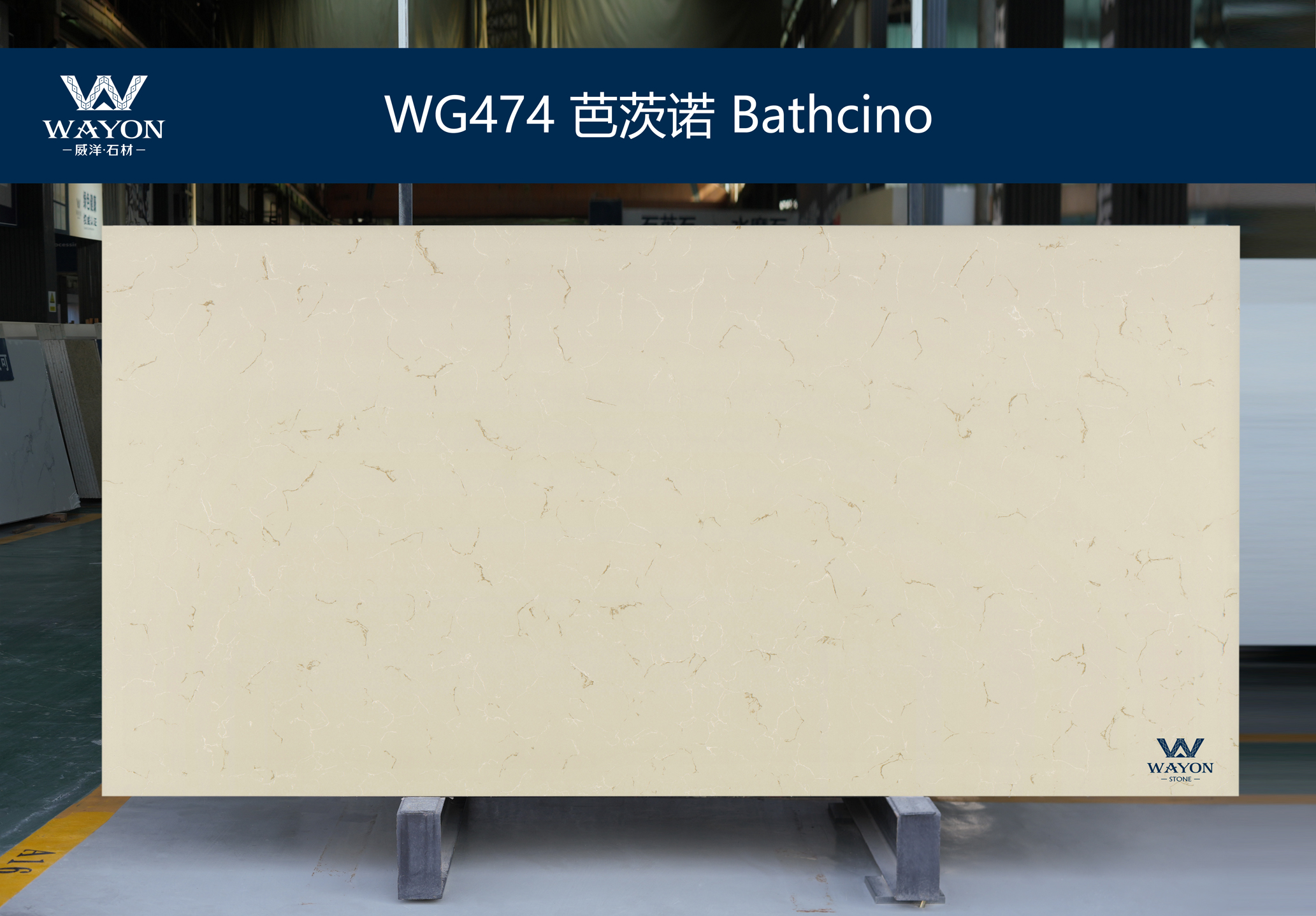 WG474 Baño