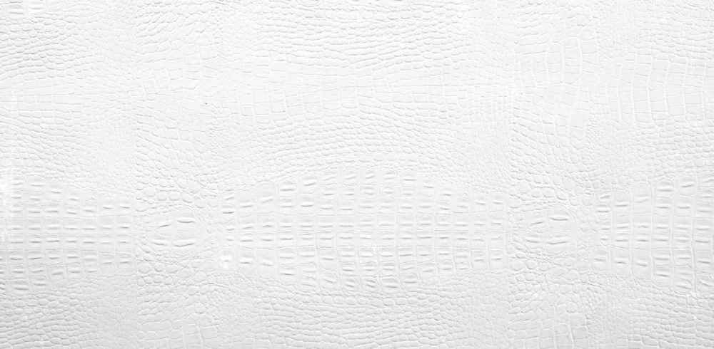 MC029 Crocodile Skin