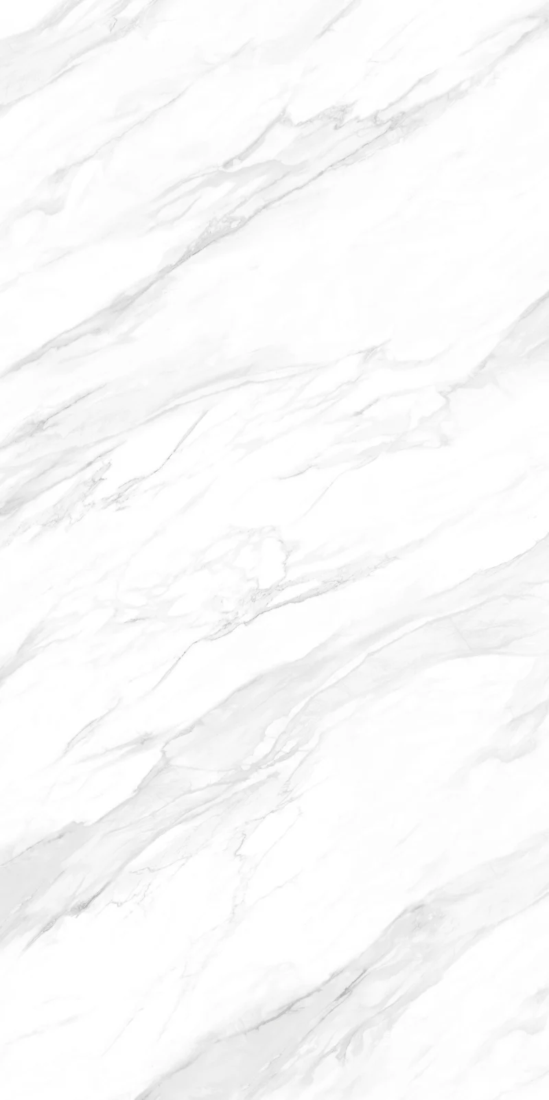 WR157N نهر الراين