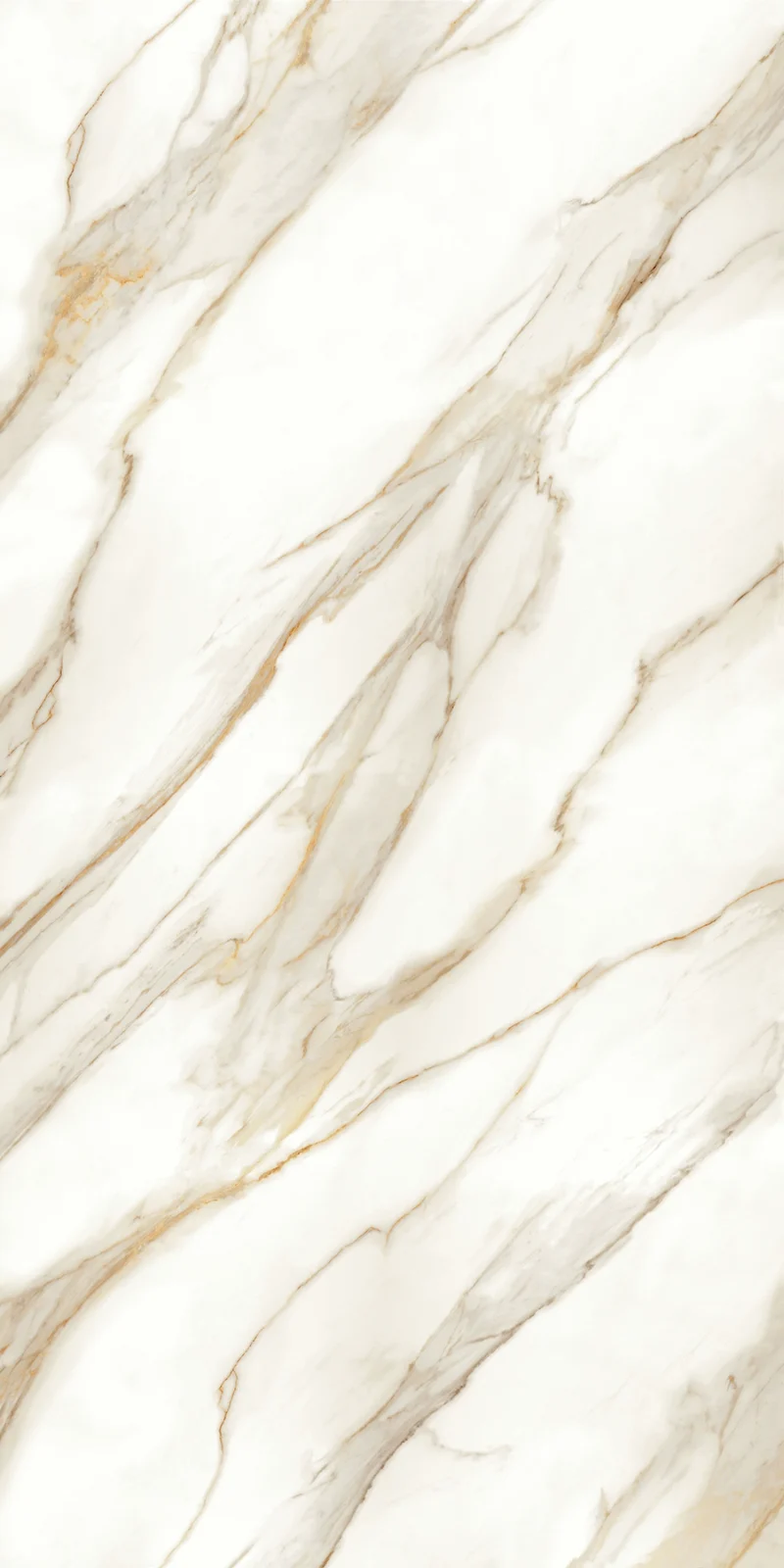 WR99G/N أليس جولد