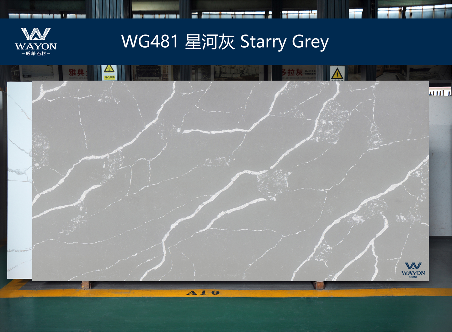 WG481 Gris estrellado