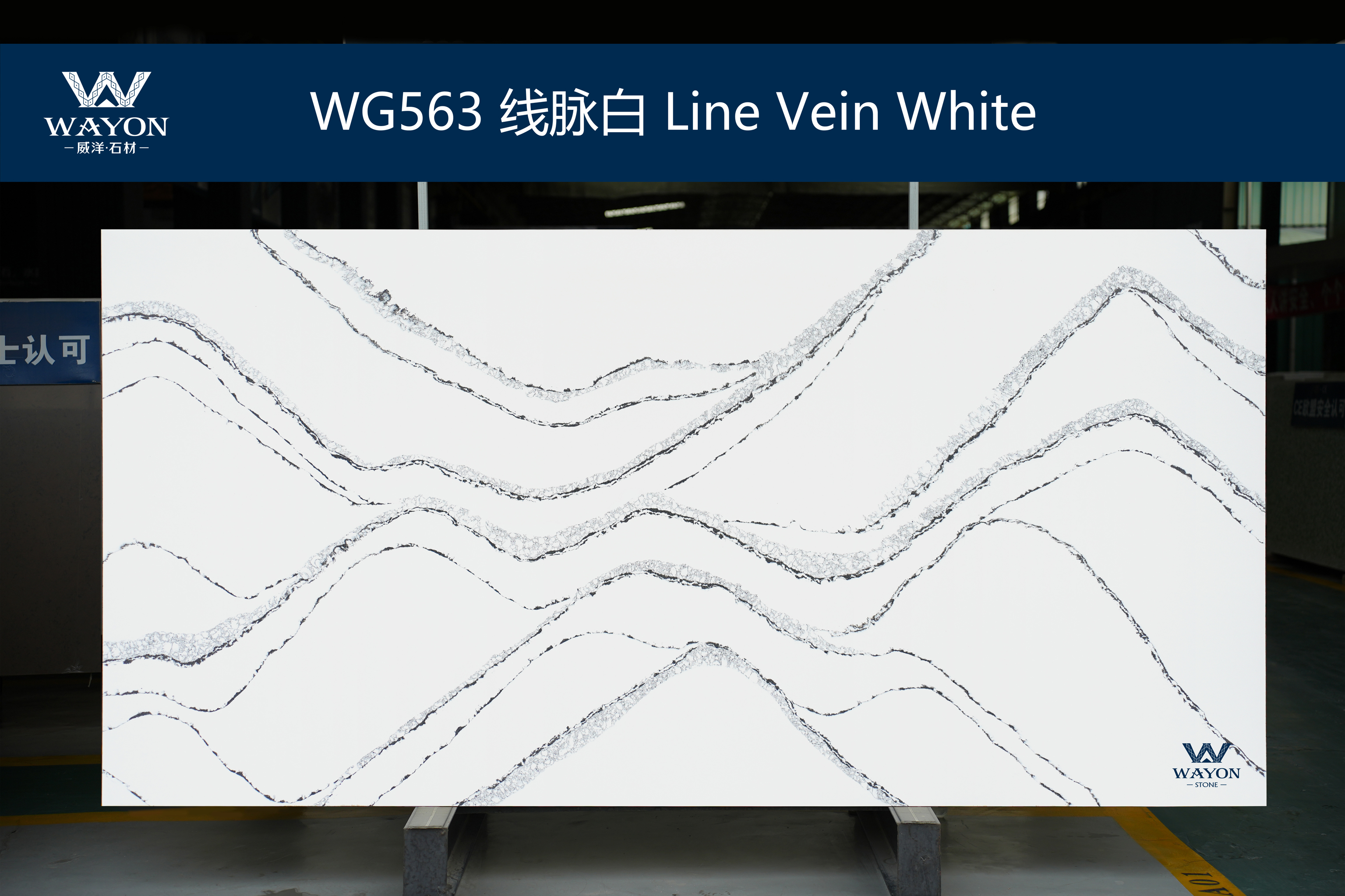 WG563 Line Vein White