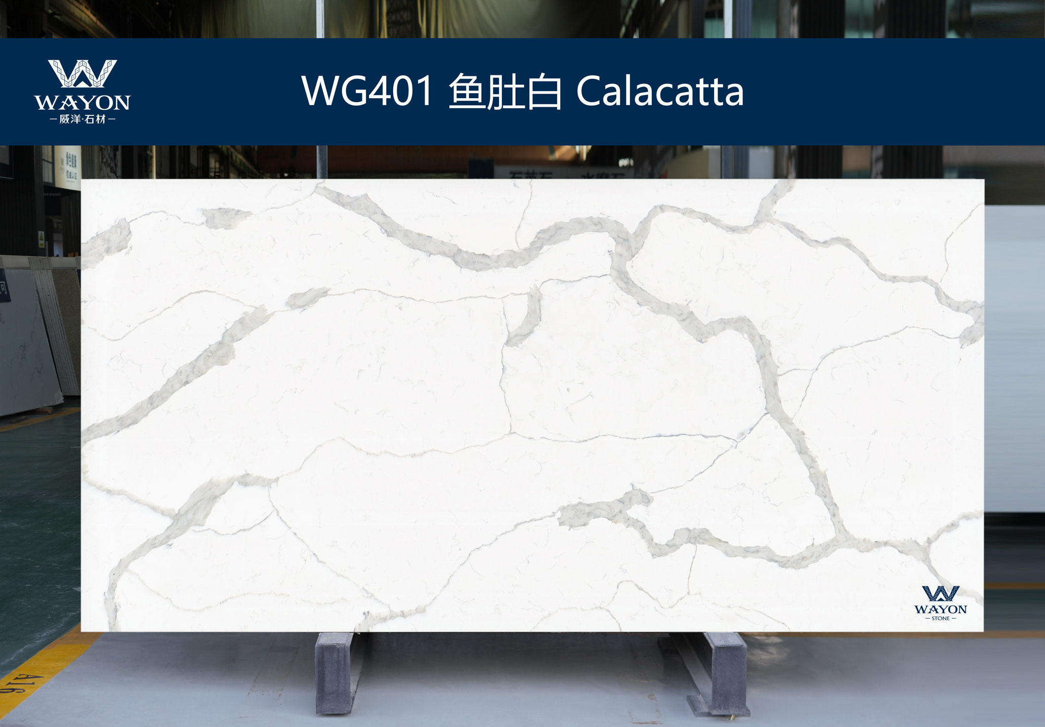 WG401 Calacatta