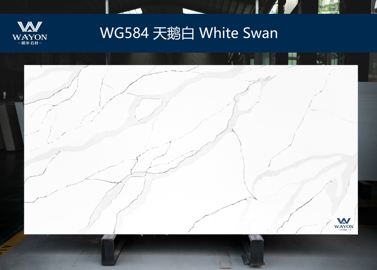 WG584 White Swan   