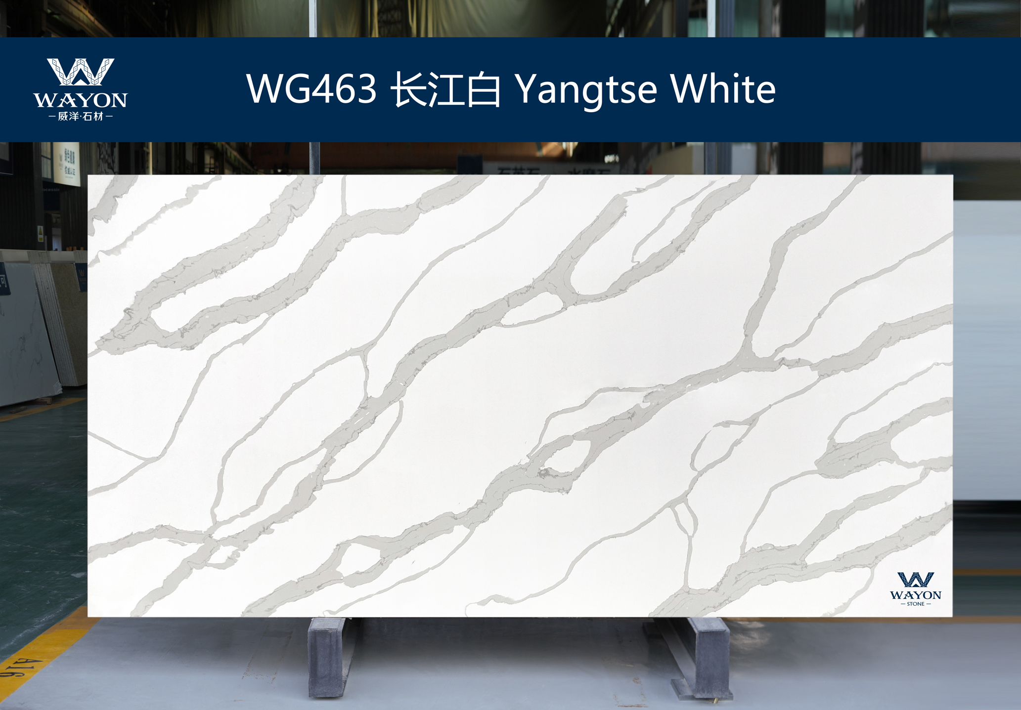 WG463  Yangtse White