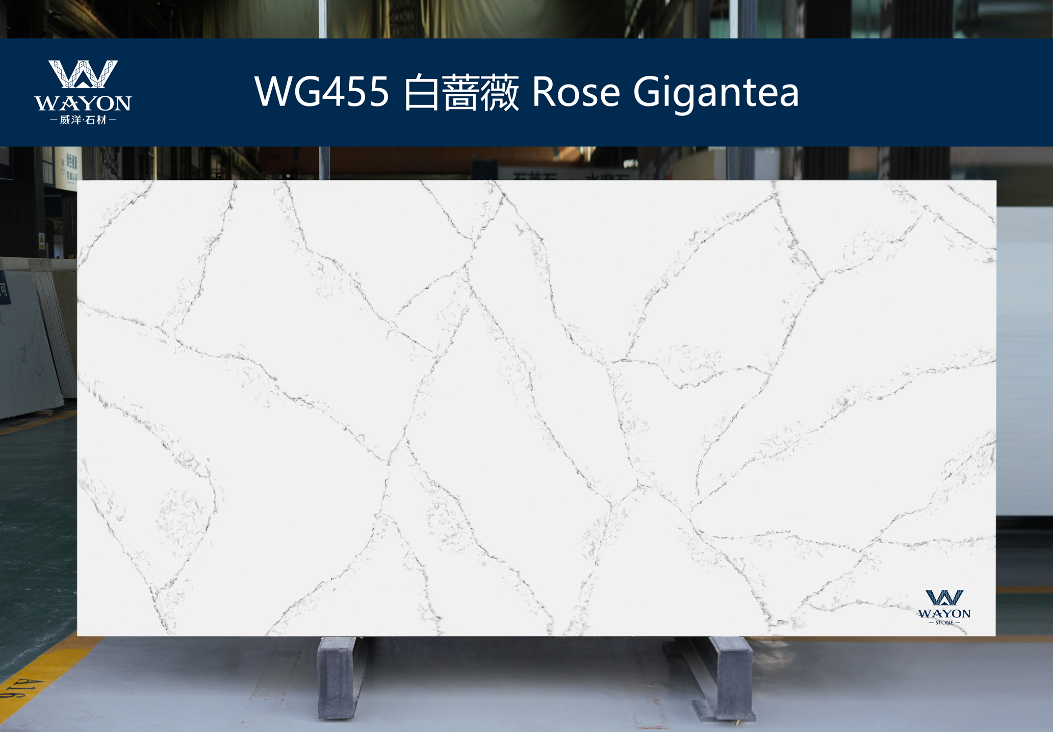 WG455 Rose Gigantea