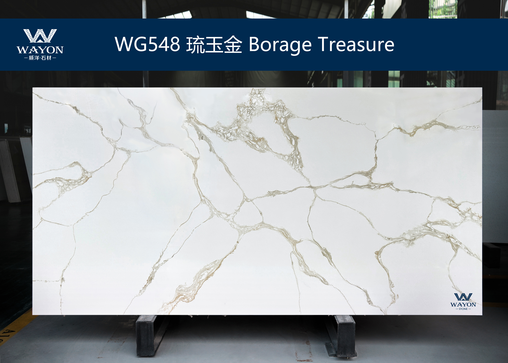 WG548 Tesoro de borraja