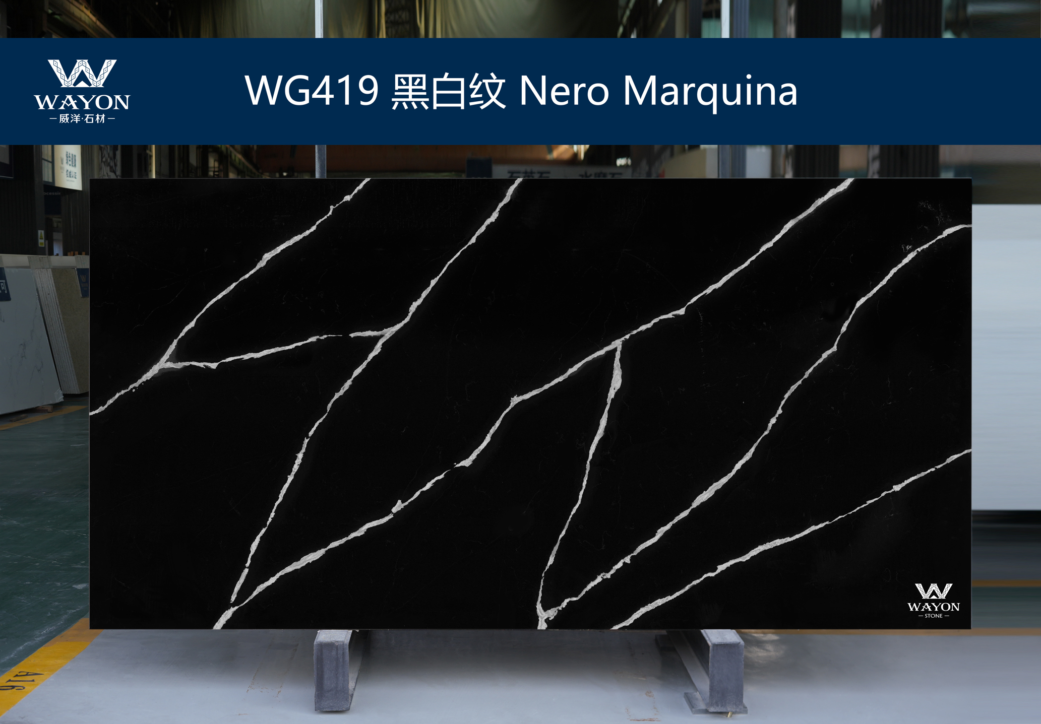 WG419 Nero Marquina