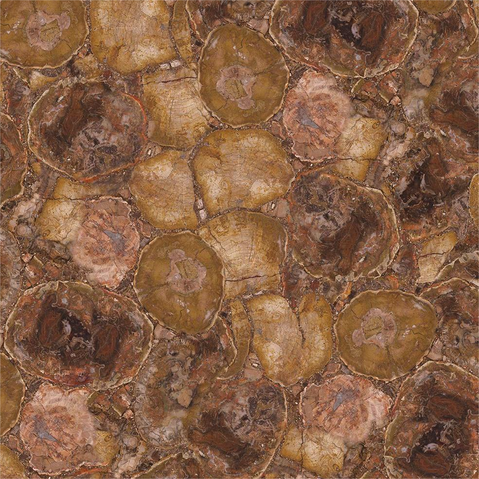 GEM-401 Madera petrificada (textura redonda)