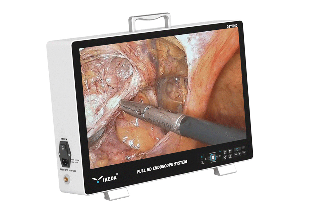 Portable Endoscope Camera