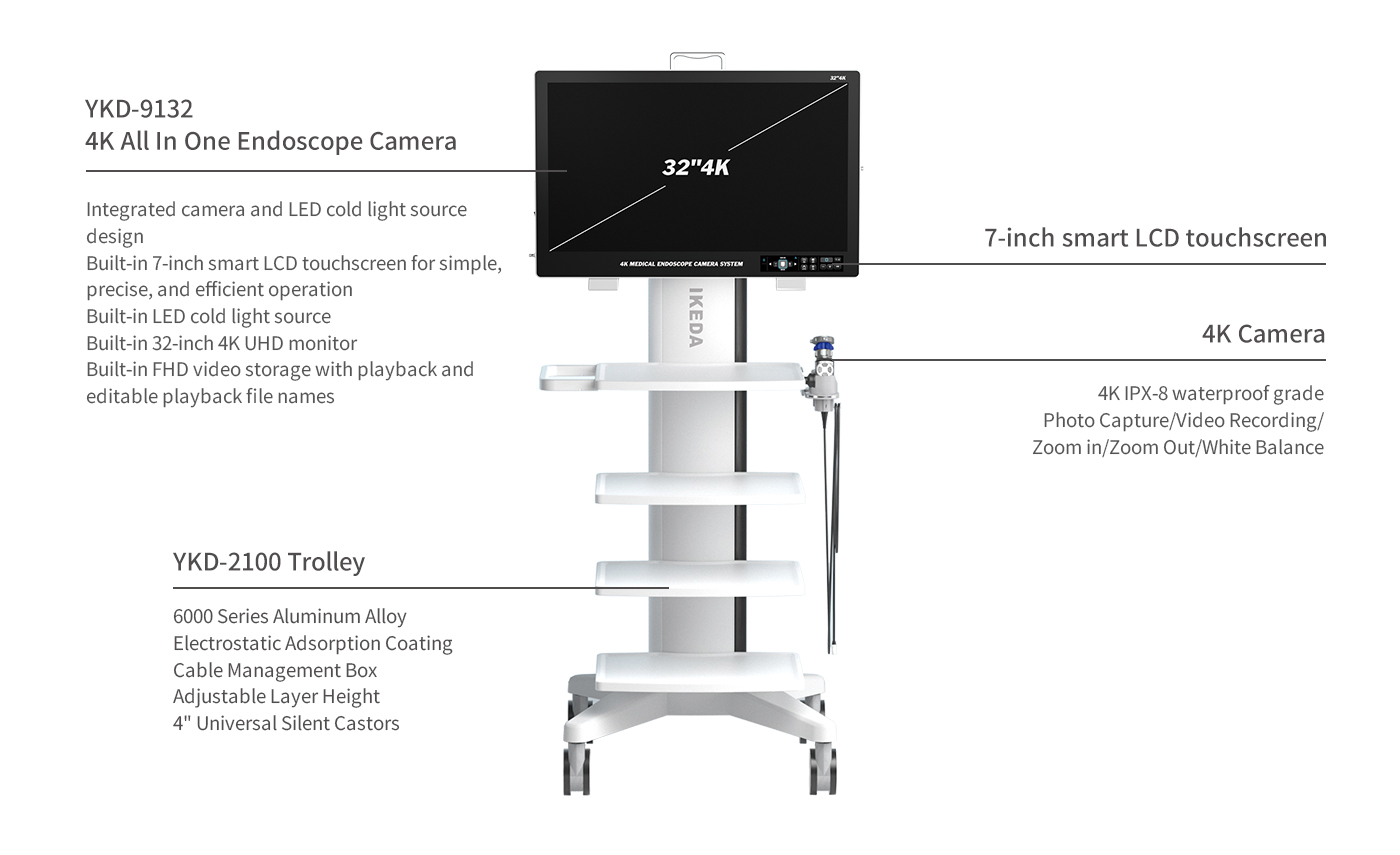 4K All In One Endoscope Camera System