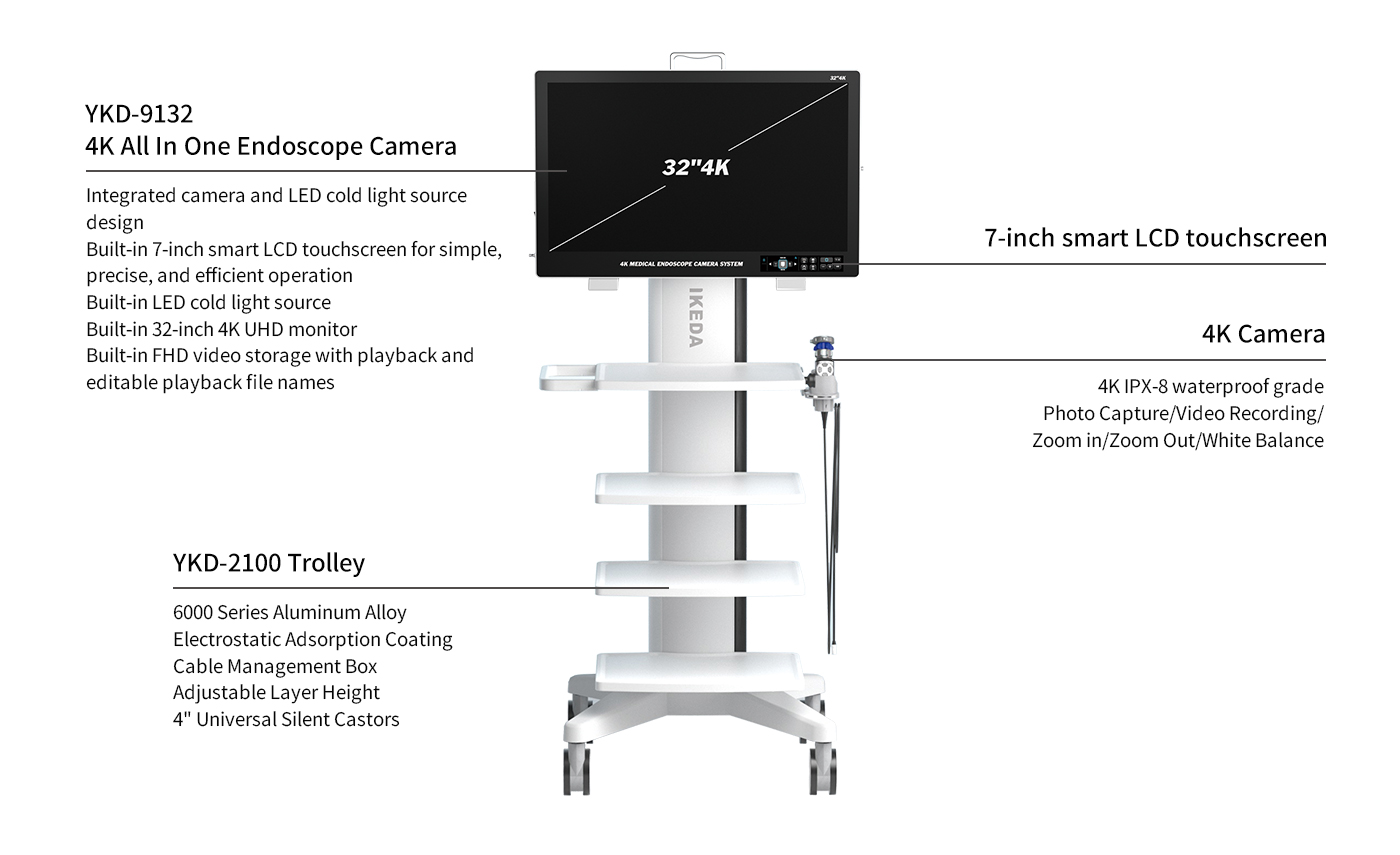 4K All In One Endoscope Camera System
