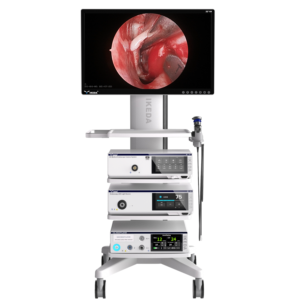 Endoscopy System