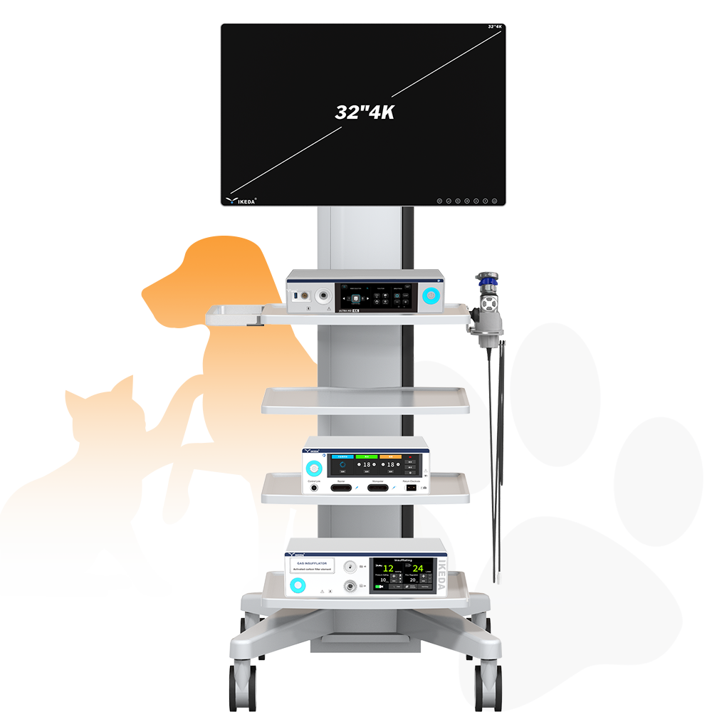 4K9610-ENDOSCOPY