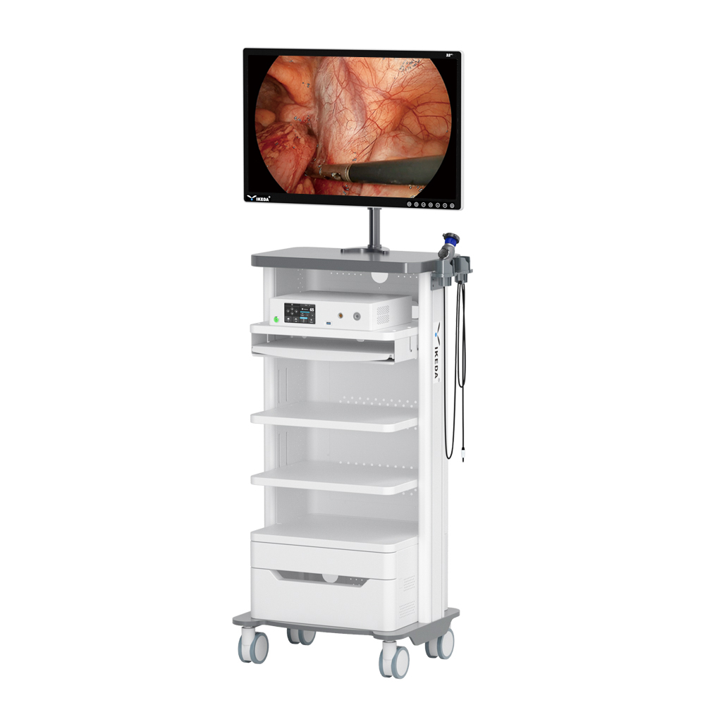 Full HD Endoscope System