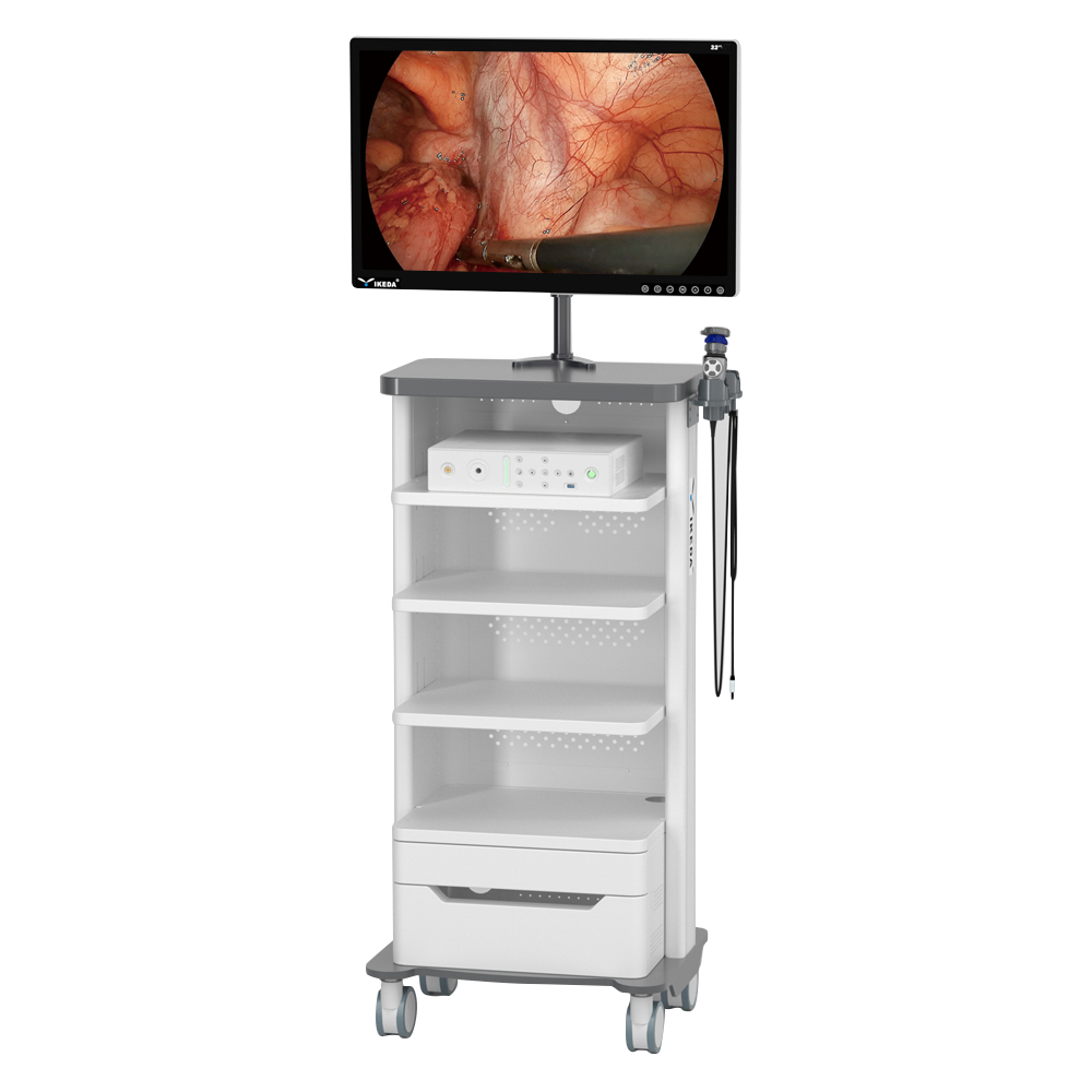 Medical Endoscopic Camera System
