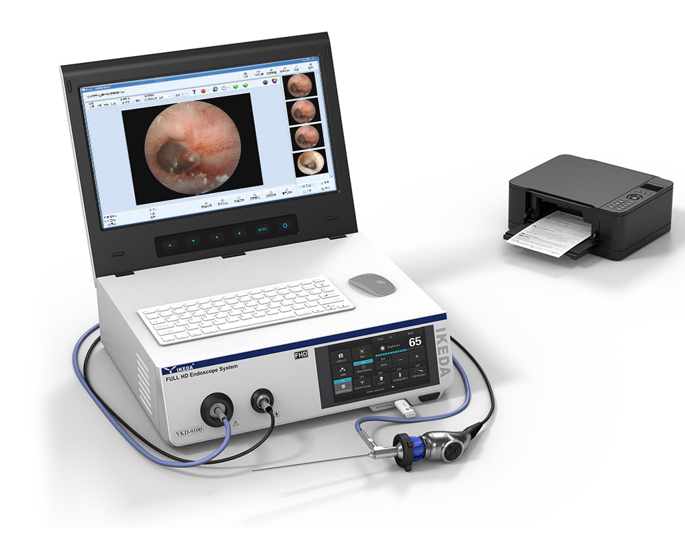 Sistema de Endoscopia Portátil