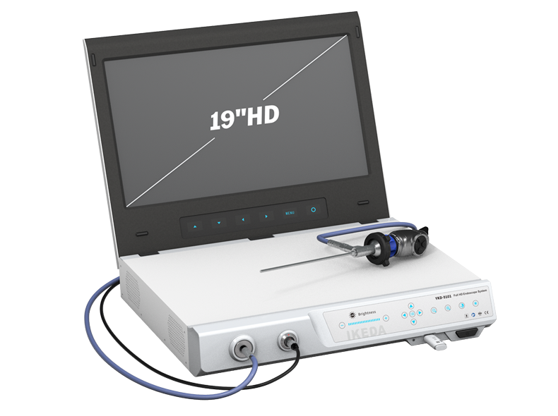 Portable Endoscope Camera