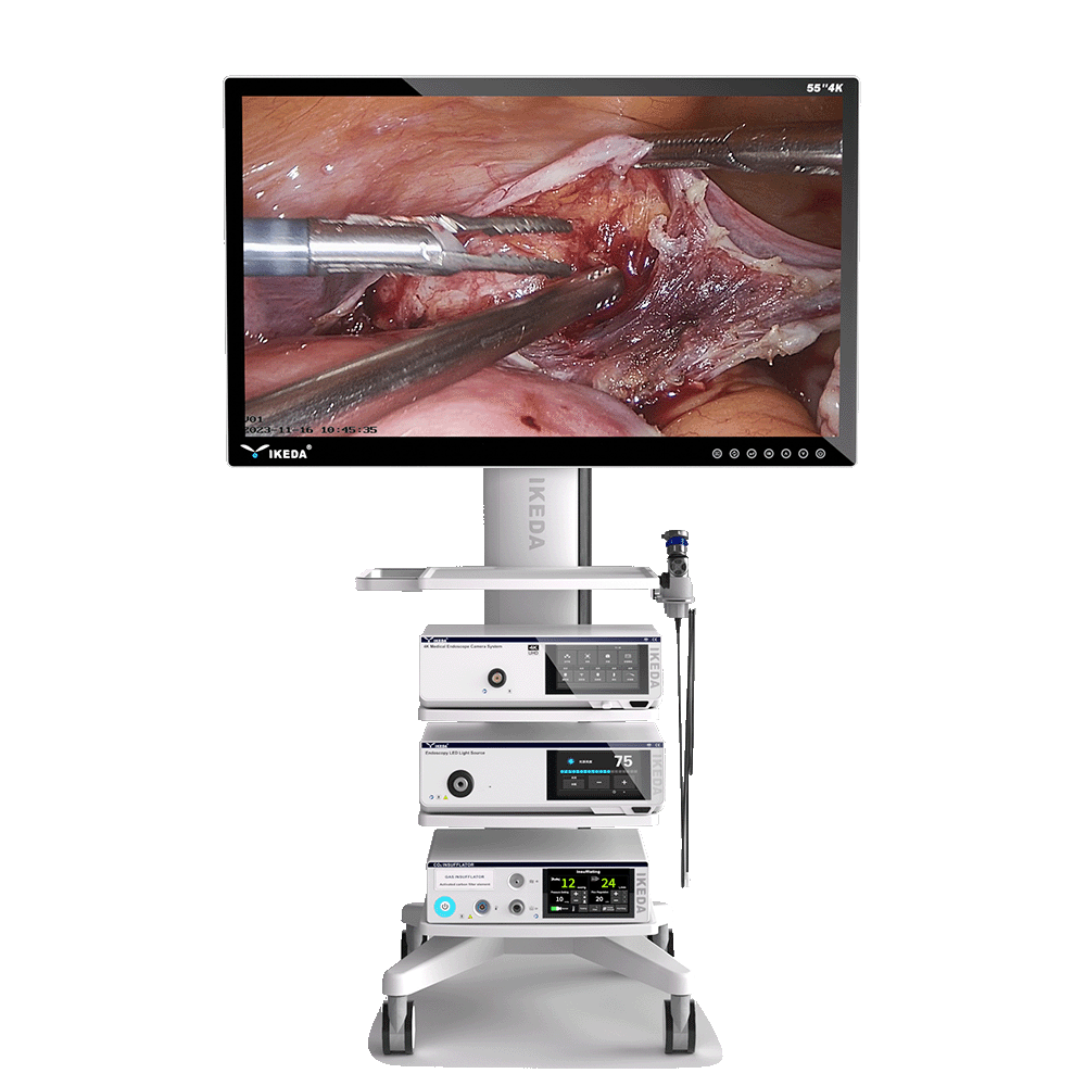 9211 4K Endoscopy