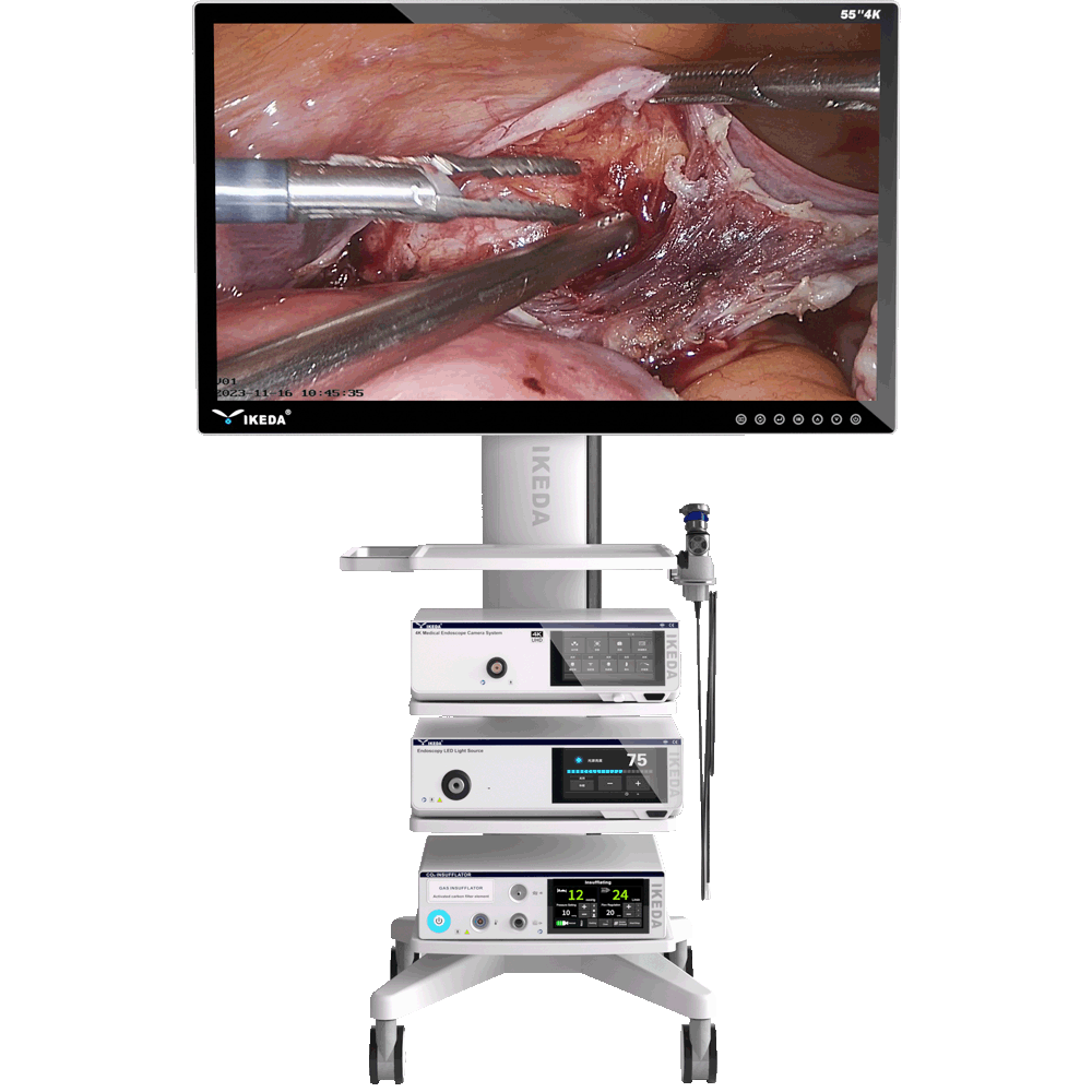 9220-4K-Endoscopy01_73489